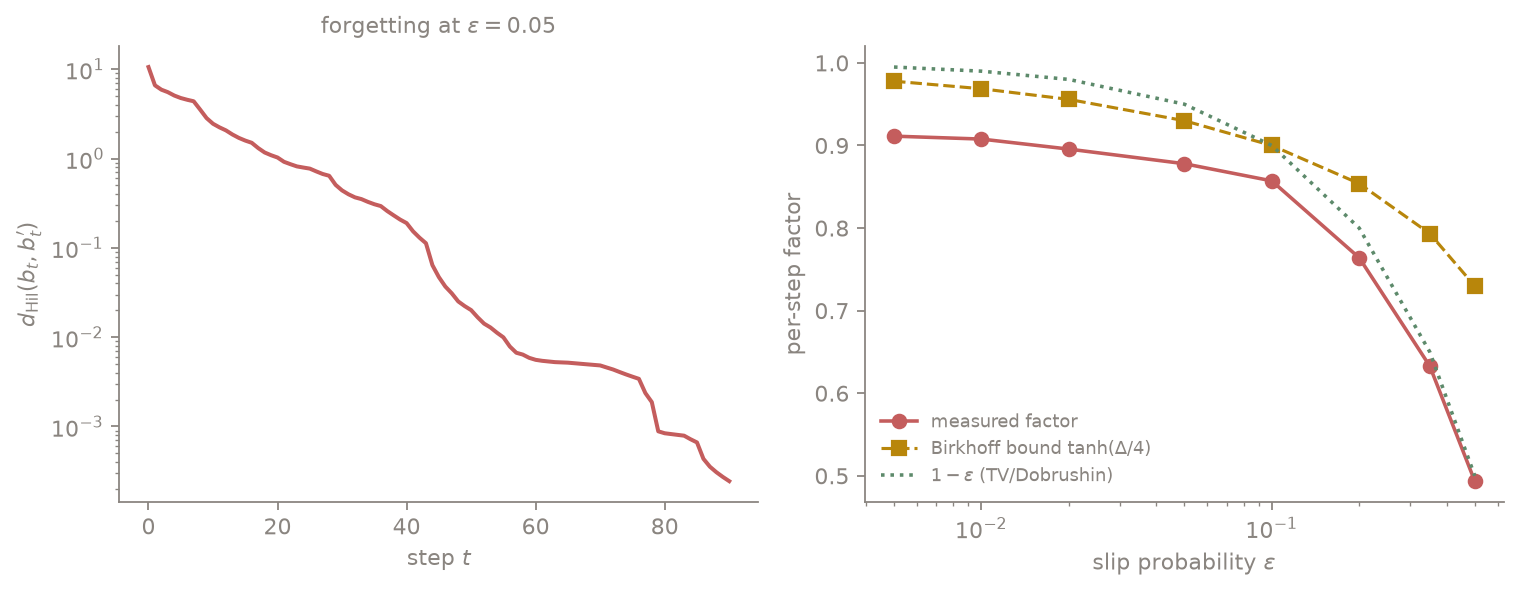 Left: log-scale Hilbert distance between two filters falling linearly over 90 steps. Right: measured per-step contraction factor versus slip probability, below the Birkhoff bound everywhere.